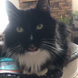 Meet your Posher, Michelle